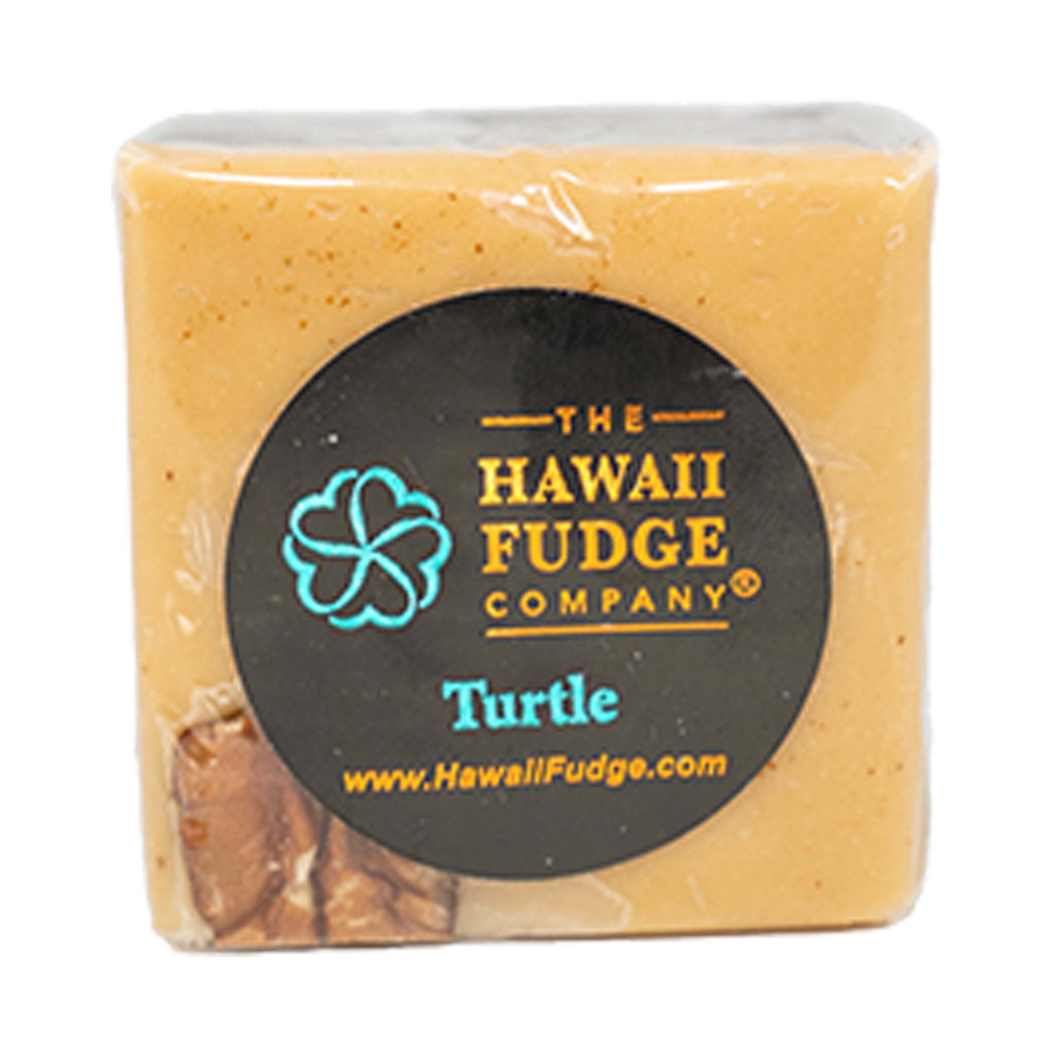 Turtle Fudge