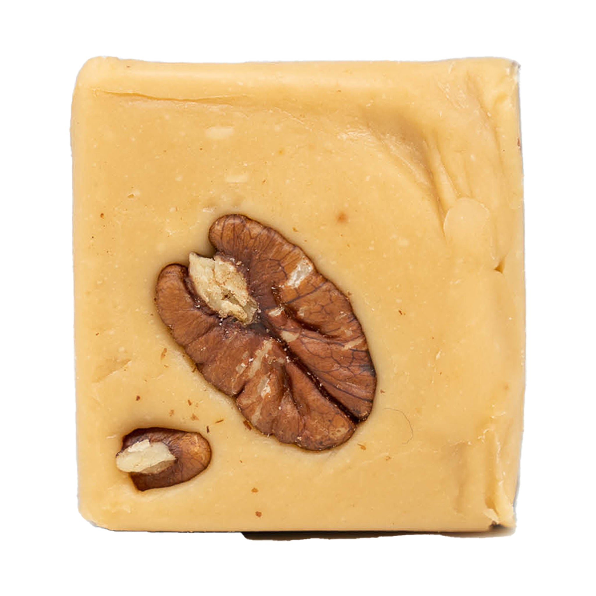 Turtle Fudge
