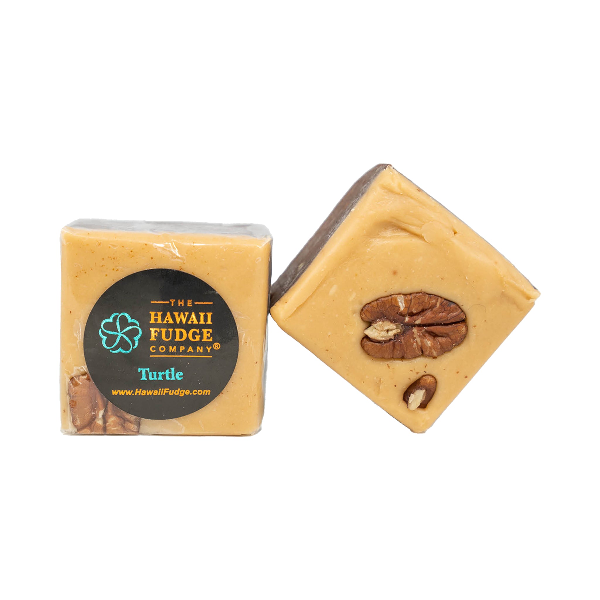 Turtle Fudge